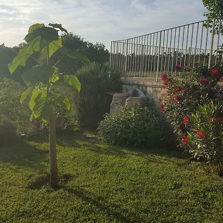 Casa La Pineta Βίλα Pievescola Εξωτερικό φωτογραφία