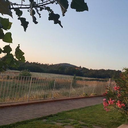 Casa La Pineta Βίλα Pievescola Εξωτερικό φωτογραφία