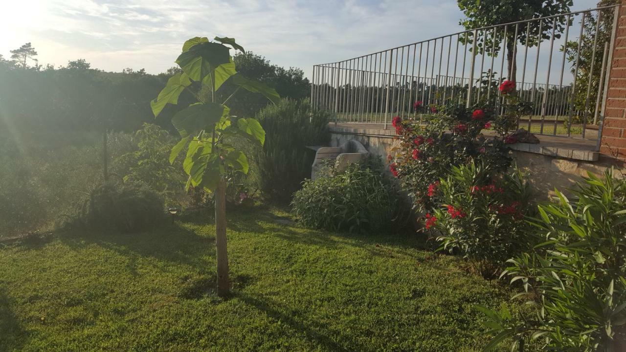 Casa La Pineta Βίλα Pievescola Εξωτερικό φωτογραφία